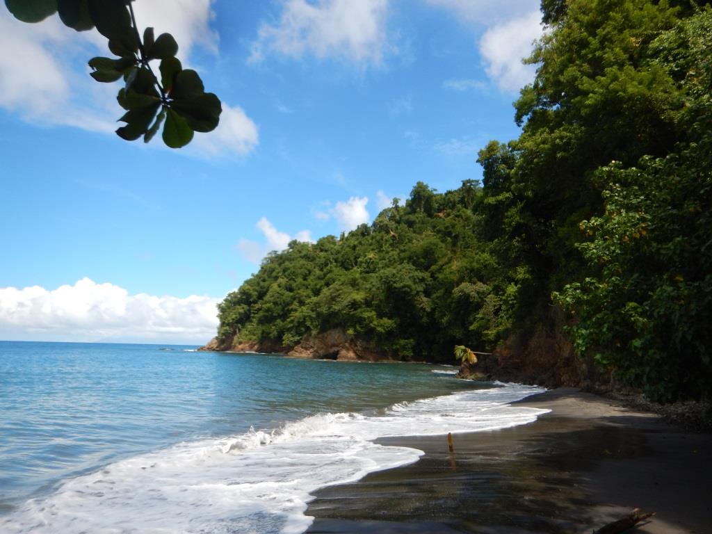 Anse couleuvre