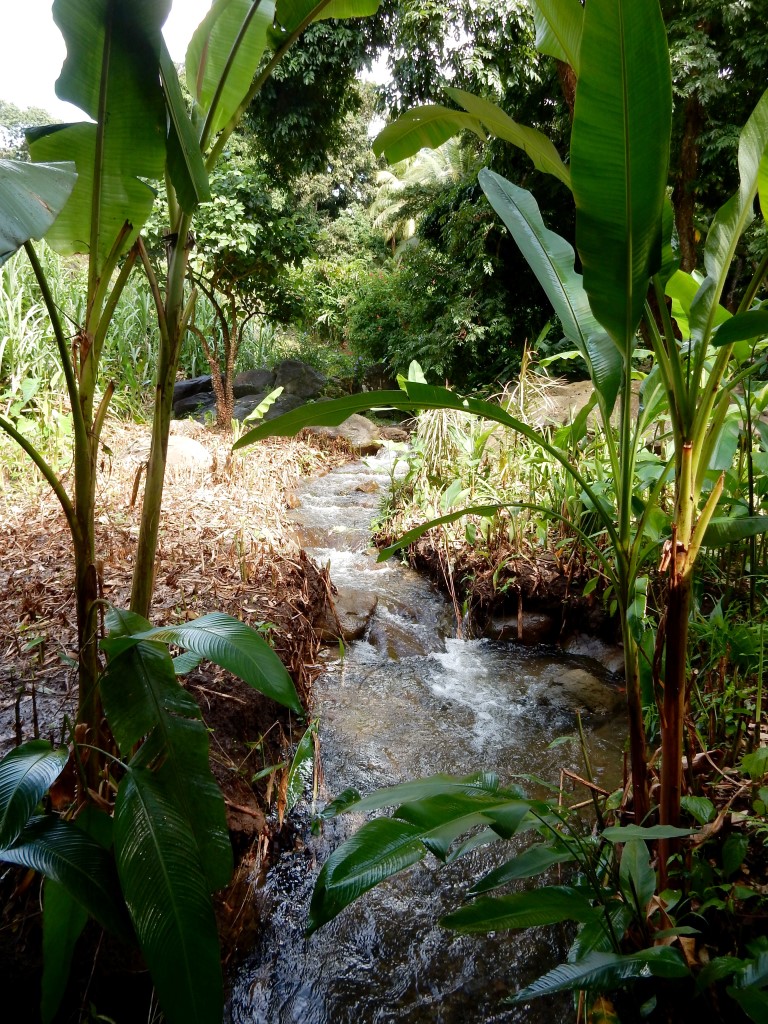 Ruisseau 2
