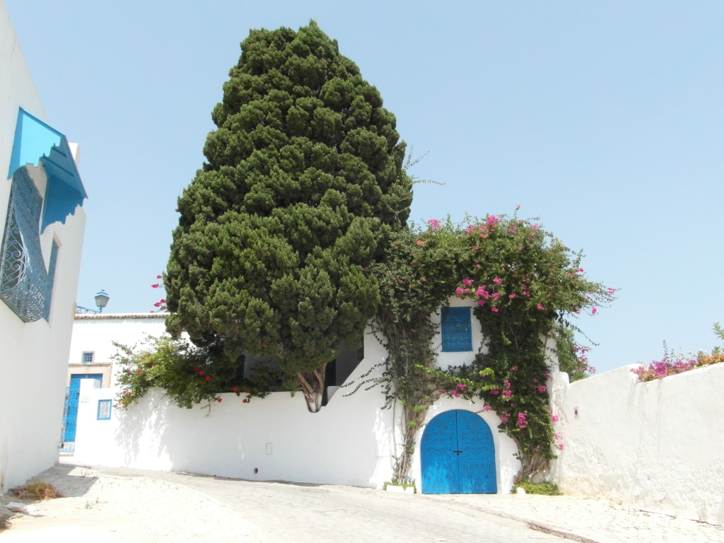 Sidi Bou Saïd (Tunisie)