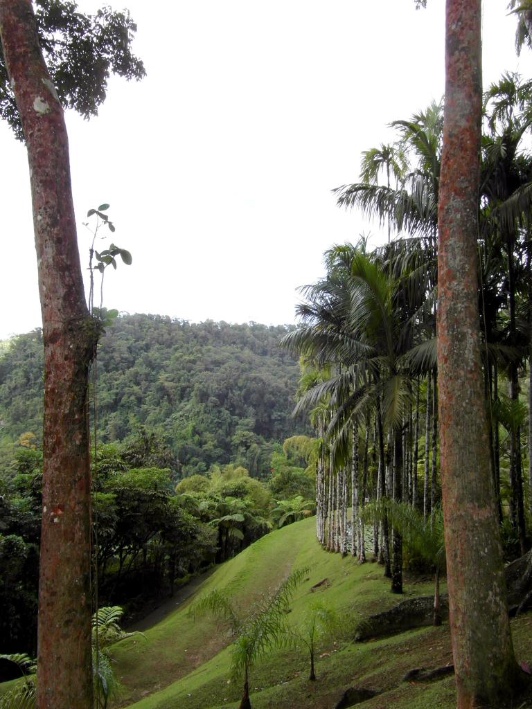 Jardin de Balata (Martinique)