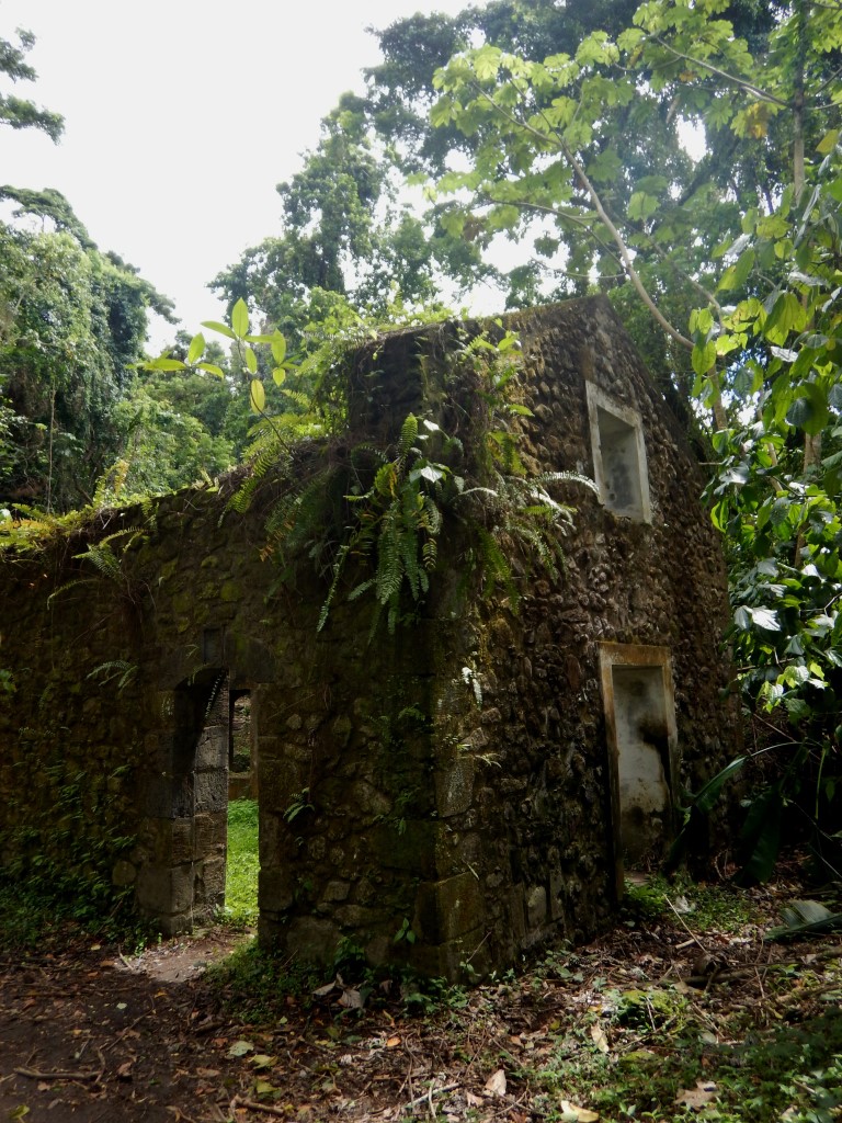 Sucrerie anse couleuvre