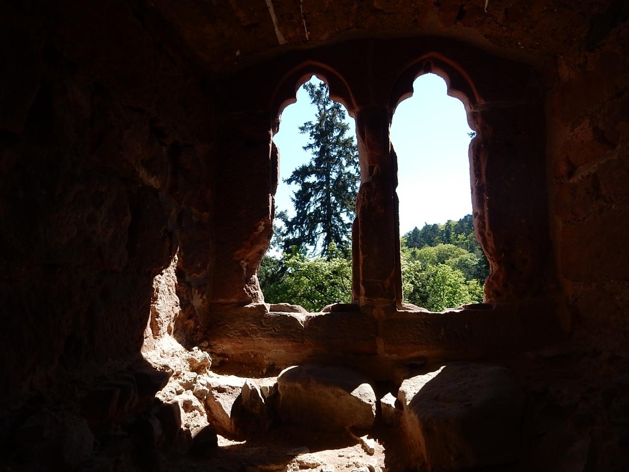 Vue sur les Voges alsaciennes